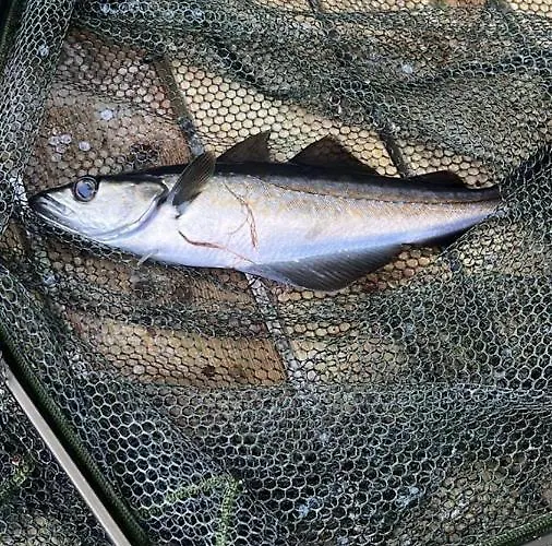 Sunrise Terrace Appartamento