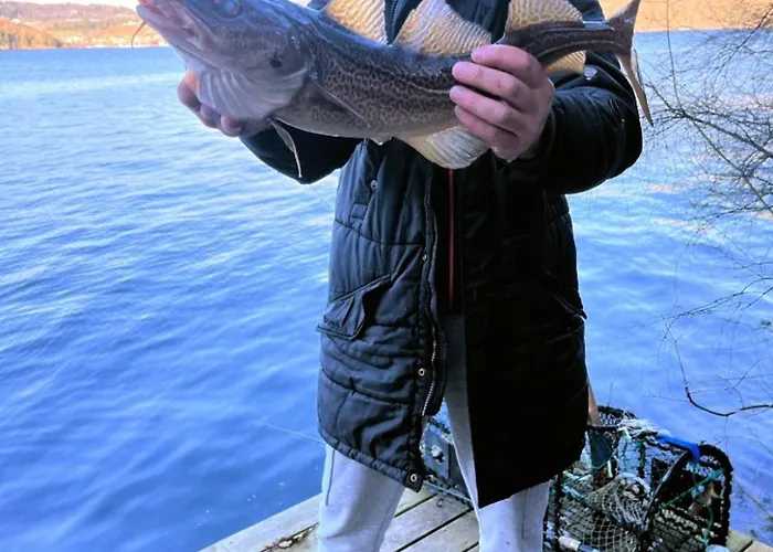 Διαμέρισμα Sunrise Terrace *